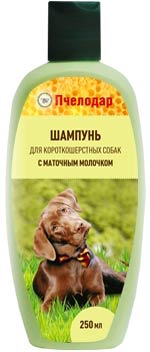Image coLLaR Воротник "Dog Extreme" плотный, для собак