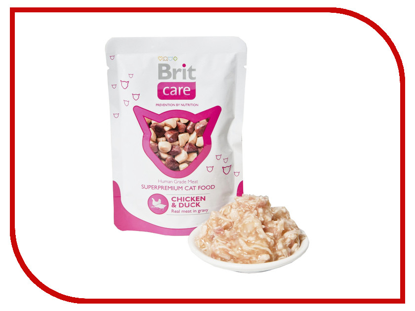 Image NOW! Fresh Grain Free Kitten Recipe