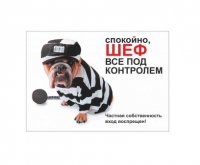 Image ZIVER Брелок для ключей "Лабродор" (1 шт)