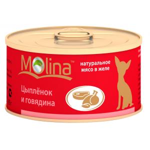 Image almo Nature Holistic Adult Dog Medium & Lamb 12 кг