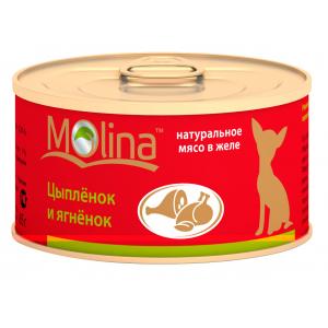 Image nero Gold Adult Dog Croc Economy with Love 18 кг