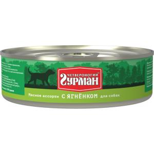 Image arden Grange Сухой беззерновой корм для котят с курицей и картофелем Kitten Fresh Chicken&Potato (2 кг)