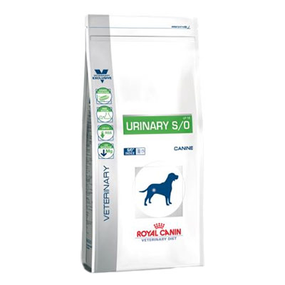 Image royal Canin Poodle Adult Сухой корм для взрослых собак породы Пудель, 1,5 кг