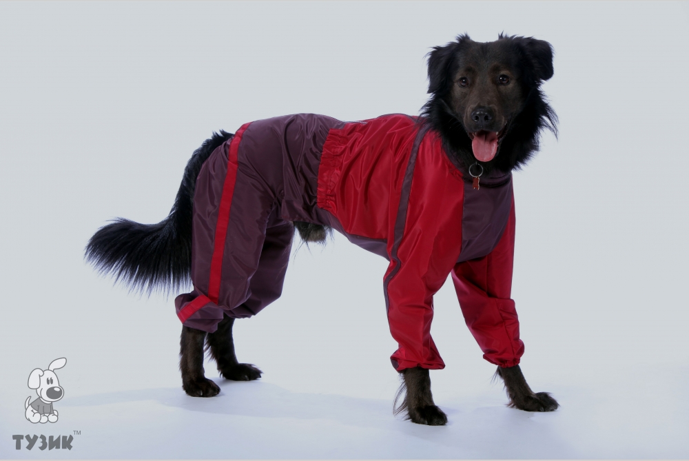 Image дождевик для собак Fashion Dogs 0110157 100% непромокаемого материала белый m