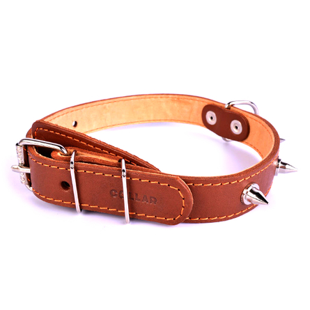 Image coLLaR Ошейник для собак двойной с шипами, ширина 2,5 см, длина 38-50 см, коричневый