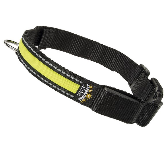 Image coLLaR Ошейник для собак "Brilliance" с украшением, ширина 2 см, длина 30-39 см, белый