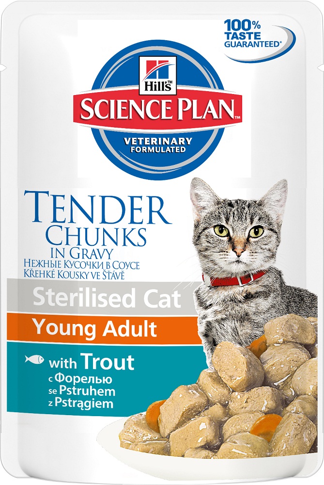 Image влажный корм для кошек Purina Pro Plan Junior Kitten Feline with Chicken canned 0,085 кг