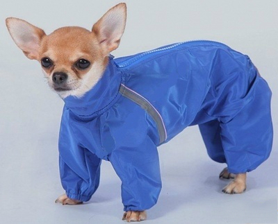 Image комбинезон пуховик для собак Dogmoda Happy Puppy самец полиэстер синий 2