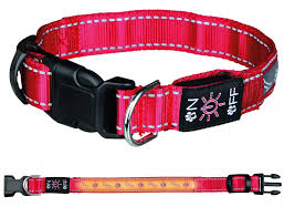 Image collar Brilliance Поводок с большими стразами, ширина 2,5 см, длина 122 см, красный