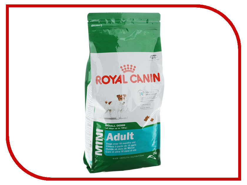 Royal canin maine coon