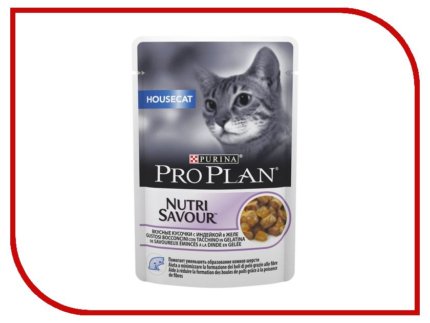 Image NOW! Fresh Grain Free Kitten Recipe