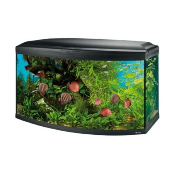 Image светильник Mini Aquarium Light (11Вт/черный)