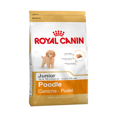 Image royal Canin Junior Poodle Сухой корм для щенков породы Пудель, 500 гр