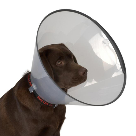 Image beaphar ошейник от блох и клещей для кошек