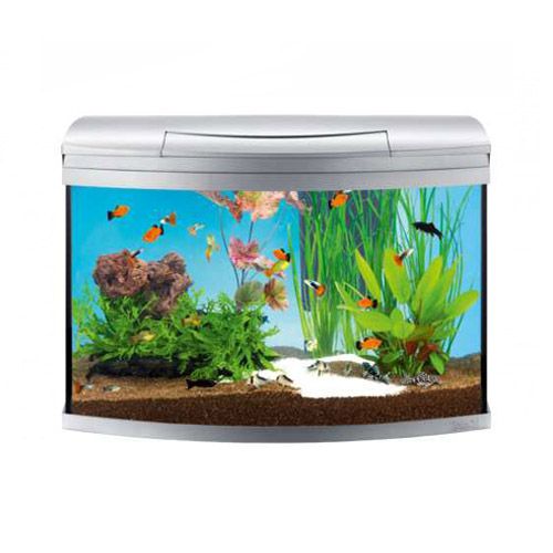 Image JBL AquaCristal UV-C 36W SERIES II Ультрафиолетовый стерилизатор воды для аквариумов с пресной и морской водой и прудов, 36 ватт