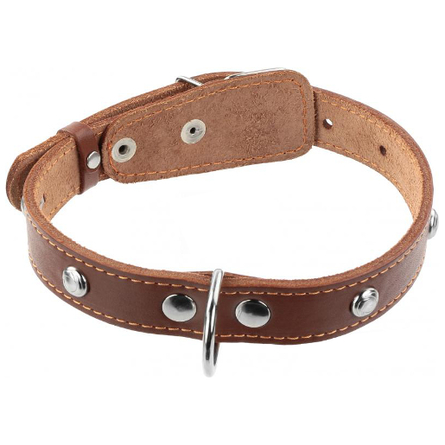 Image collar Ошейник для собак одинарный, с украшением, ширина 2,5 см, длина 38-50 см, коричневый