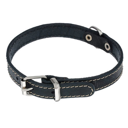 Image collar Brilliance Поводок для животных