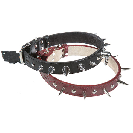 Image collar Шлейка одинарная для собак, ширина 2,5 см, обхват шеи 49-68 см, обхват груди 68-80 см, коричневая