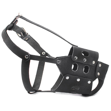 Image coLLaR Шлейка для собак "Dog Extreme Police" №3, ширина 3 см, обхват 55-75 см, красная