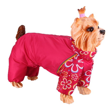 Image dogModa Комбинезон зимний "Китайская хохлатая", мальчик