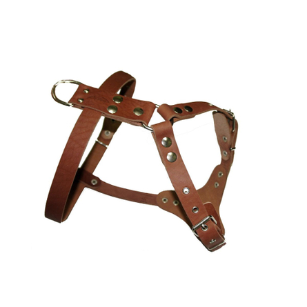 Image collar Dog Extreme Намордник нейлоновый регулируемый, обхват морды 14-20 см