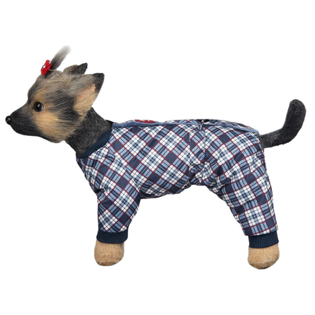 Image dogModa Комбинезон зимний "Китайская хохлатая", мальчик