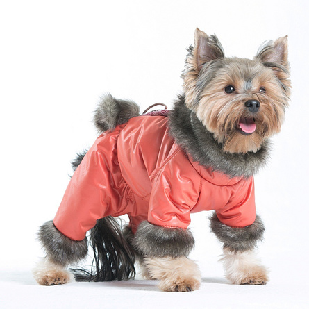 Image dogModa Комбинезон "Грей" для собак, длина спины 32 см, обхват шеи 33 см, обхват груди 52 см