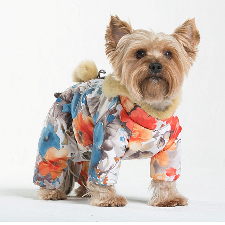 Image dogModa Комбинезон "Сова" для собак, длина спины 32 см, обхват шеи 33 см, обхват груди 52 см