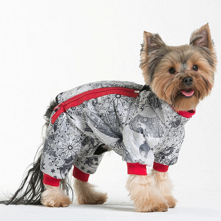 Image dogModa Комбинезон велюровый "Хоум" для собак, длина спины 20 см, обхват шеи 21 см, обхват груди 33 см, розовый