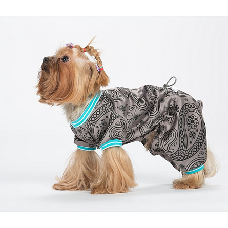 Image dogModa Doggs Попона "Такса" теплая, длина спины 45 см, обхват шеи 38 см, обхват груди 54 см, девочка