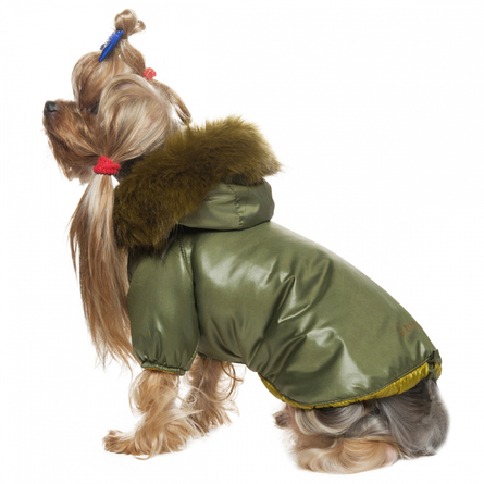 Image dogModa "Winter" 4 Куртка для собак, унисекс, зелёная