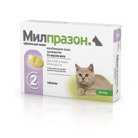 Image pawFlex Basic Bandage XL Набор базовых бандажей для лап