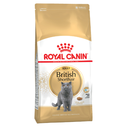 Image royal Canin British Shorthair Adult Сухой корм для взрослых кошек породы Британская короткошерстная, 4 кг