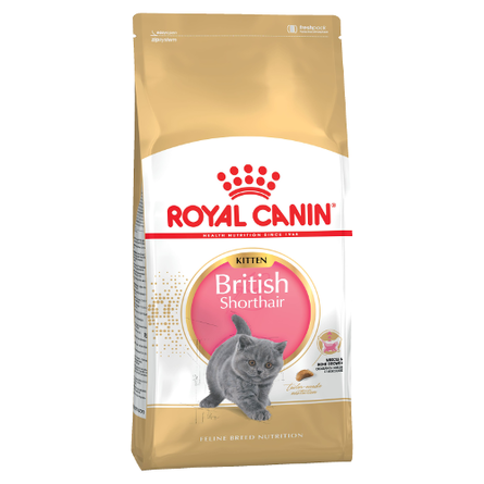 Image royal Canin British Shorthair Kitten Сухой корм для котят породы Британской короткошерстной, 400 гр