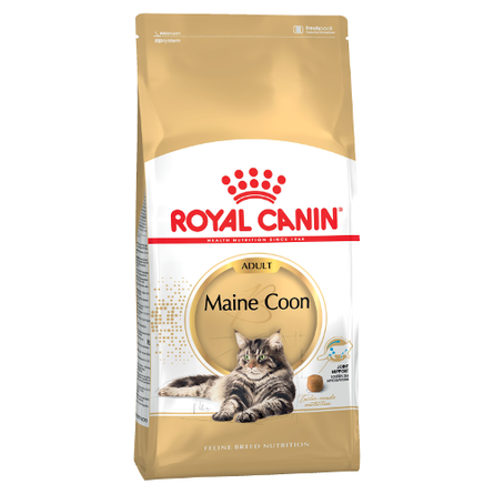 Image royal Canin Maine Coon Adult Сухой корм для взрослых кошек породы Мейн-кун, 2 кг