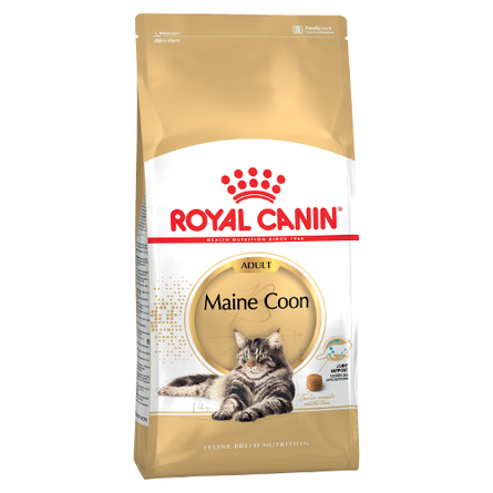 Image royal Canin Maine Coon Adult Сухой корм для взрослых кошек породы Мейн-кун, 4 кг