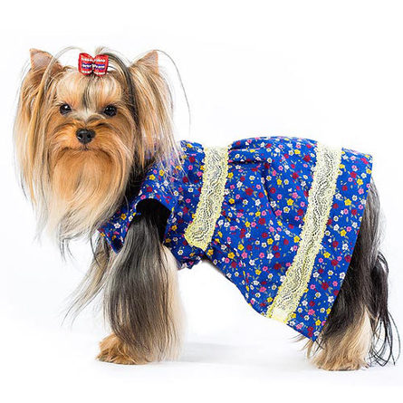 Image dogModa Комбинезон велюровый "Мишка" для собак, длина спины 28 см, обхват шеи 29 см, обхват груди 45 см