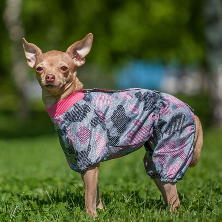 Image dogModa Doggs Комбинезон теплый для собак, длина спины 42 см, обхват шеи 56 см, обхват груди 78 см, девочка