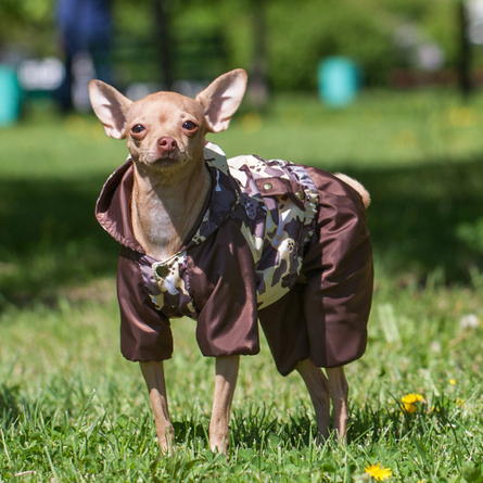 Image collar AiryVest Курточка двухсторонняя для собак, красно-черная