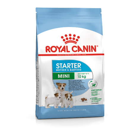 Image royal Canin Ageing Sterilised 12+ Сухой корм для пожилых стерилизованных кошек и кастрированных котов старше 12 лет, 4 кг